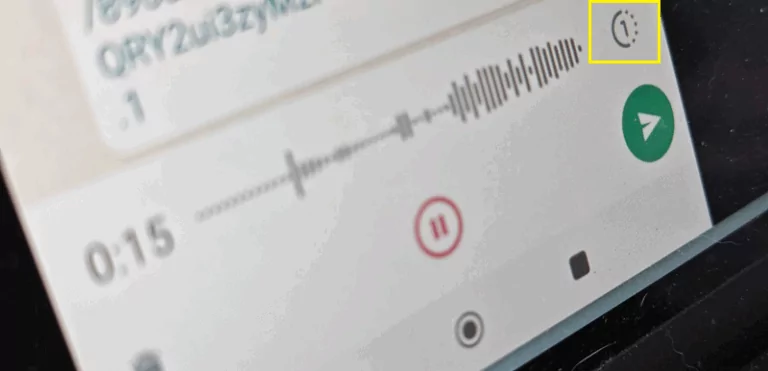 WhatsApp阅后即焚是什么