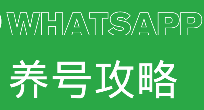 WhatsApp 如何养号