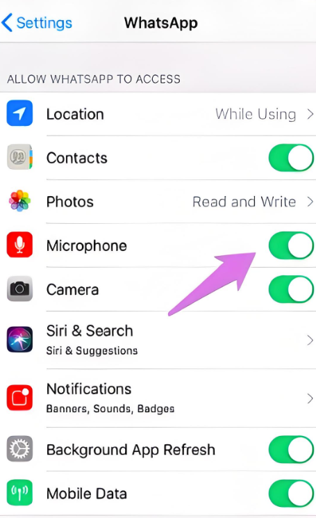 WhatsApp语音通话权限