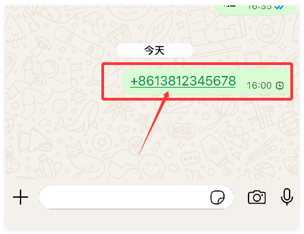 WhatsApp如何向陌生人发送消息